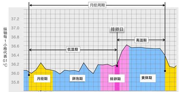 生理前 体温 37度以上