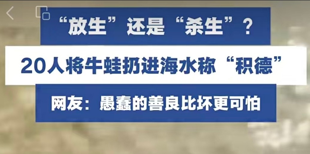 辟谣 | 有人在北海银滩放生淡水龟、牛蛙？ 回应来了